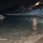 2 *